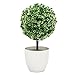IVYRISE Artificial Plants Faux Potted Trees Decor Bonsai Flowers Topiary Plant with White Planter Pots, White Green