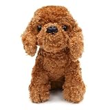 パピーパッション トイプードル お座り Ｌサイズ の評価・レビュー