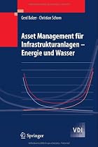 Asset Management f&uuml;r Infrastrukturanlagen - Energie und Wasser (VDI-Buch)