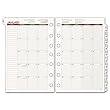 Day Runner Express Recycled Monthly Planning Pages, 8-1/2 x 11 Inches, 2010 (068-685Y-10)