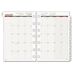 Day Runner Express Recycled Monthly Planning Pages, 8-1/2 x 11 Inches, 2010 (068-685Y-10)