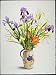 Irises and Lilies in a Dutch Jug (w/c) by.. - Art Print - Medium - 28x35cm