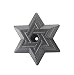 Kitchen & Housewares : Nordic Ware Platinum Bakeware Star of David Bundt