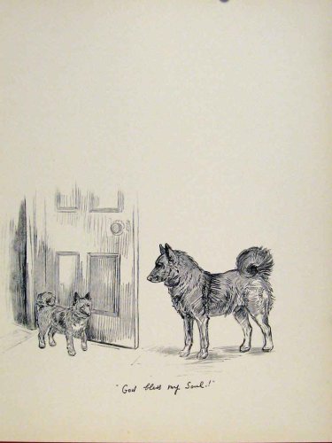 Dog Hound Door Pet Animal Sketch Print Old Art C1938