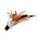 Kitchen & Housewares : Dr. Noys Swizzle Replacemntt Feather