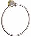 GROHE Geneva 8-Inch Towel Ring, Satin Nickel with Polished Brass Accent #40151AR0