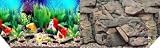 22H Hawaii Blue/Rocky Background 50ft