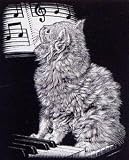 Eigenschaften Mammut A30PPSF2 / Scraper Silber groß - Katze am Piano