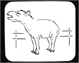 Mauspad mit Dekoration - Tapir, Fauna, Park, Zoo, Tier