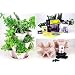 Garden Stacker Planter + Indoor Herbal Tea Herb Garden Kit - Grow Lemon Balm, Catnip, Rosemary,Chamomile, Fever Few, Lavender, Lemon Grass, Marigold, More: Includes Seed, Starter Peat Pellets, Greenhouse Dome Tray, Instructions, Stackable Planter: Just Stack & Grow.