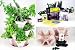 Garden Stacker Planter + Indoor Herbal Tea Herb Garden Kit - Grow Lemon Balm, Catnip, Rosemary,Chamomile, Fever Few, Lavender, Lemon Grass, Marigold, More: Includes Seed, Starter Peat Pellets, Greenhouse Dome Tray, Instructions, Stackable Planter: Just Stack & Grow.