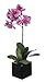 House of Silk Flowers Artificial 17-Inch Phalaenopsis Orchid, Mini, Lavender