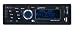 Bass Face SD200.1