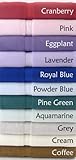 Super Soft Lightweight 100% Rayon from Bamboo Bath Towel 460 GSM-2pc-Powder Blue