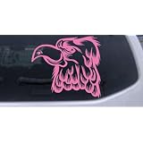 6in X 6.6in Pink -- Cartoon Eagle Head Animals Car Window Wall Laptop Decal Sticker by Rad Dezigns