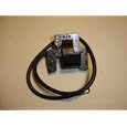 Replacement Briggs and Stratton 395492, 398811, 298265 Ignition Coil