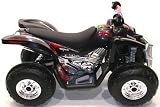 Review Ammaco  / ATV Rough Rider Quad 12 With Simulated Sounds