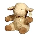 Sleep Sheep