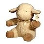 Sleep Sheep