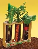 Toysmith Garden Root Viewer 41UaWu0Pj2L. SL160 Toysmith Garden Root Viewer