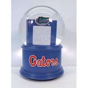 FLORIDA STATE PHOTO FRAME GLOBE FLORIDA STATE PHOTO FRAME GLOBE