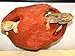 Magnaturals Large Hideaway Mojave - Magnetic Decor