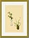 Gold Framed/Matted Print 17x23, Thistle and Platycodon