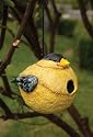 Evergreen Enterprises, EG2BH078 Finch Portly Birdhouse