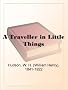 A Traveller in Little Things
