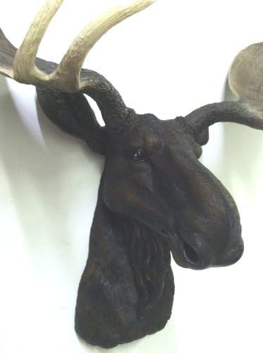 Moose Head Bust Wall Hanging