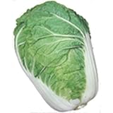 �t���ɑ���(�^�L�C��z) 2.3ml