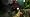 BioShock
