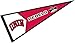 UNLV Pennant Full Size Felt