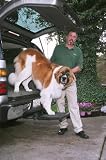 Otto Step - Pet Step/Ramp