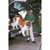 Otto Step - Pet Step/Ramp