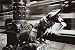 Homeless Dog Photography Poster Print, 36x24