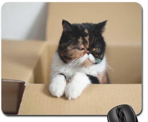 Kittie's box Mouse Pad, Mousepad (Cats Mouse Pad)