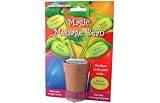 Outdoor Living : Grow Your Own - Happy Birthday Message Plant