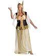 Plus Size Viking Costume Norse Costume