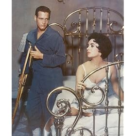 ANNY NELSEN 8X10 COLOR PHOTO