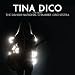 Tina Dico Live With the Danish