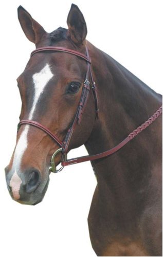 Kincade Square Raised Bridle with Laced Leather Reins and Free Gift!
