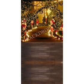 8'x16' Urban Christmas Lights Background Backdrop