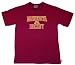 Minnesota Golden Gophers Maroon Short Sleeve Player Tee