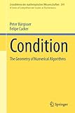 Condition : the geometry of numerical algorithms