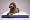 GOOD IDEAS HEATED PET BED (618) - PETCARE(tm) - Keep your pet warm and cosy this winter.