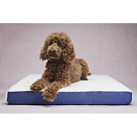 Lit pour chien de luxe chauffants chauff�e Reste Grand compagnie des animaux Nouvel