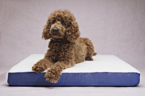 GOOD IDEAS HEATED PET BED (618) - PETCARE(tm) - Keep your pet warm and cosy this winter.