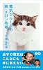 電気グルーヴの続・メロン牧場−花嫁は死神 下
