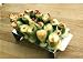 Steven Raichlen SR8814 Jalapeno Pepper Rack 5x11-in.